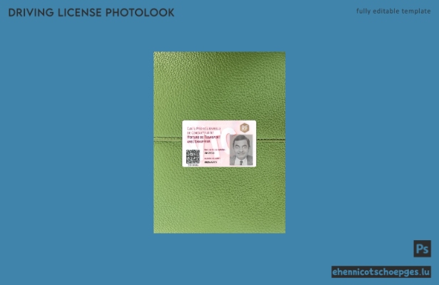 Vorschau eines Fotos für den Führerschein der französischen Berufskraftfahrer